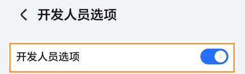 荣耀开发人员选项页面顶部，蓝色总开关处于开启状态